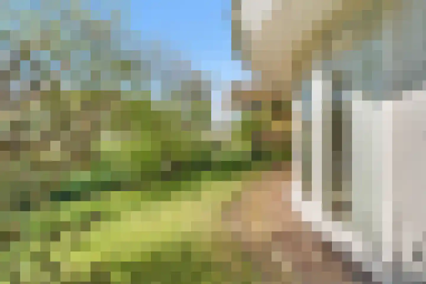 Rozenheim 51 Dedemsvaart thumbnail 19