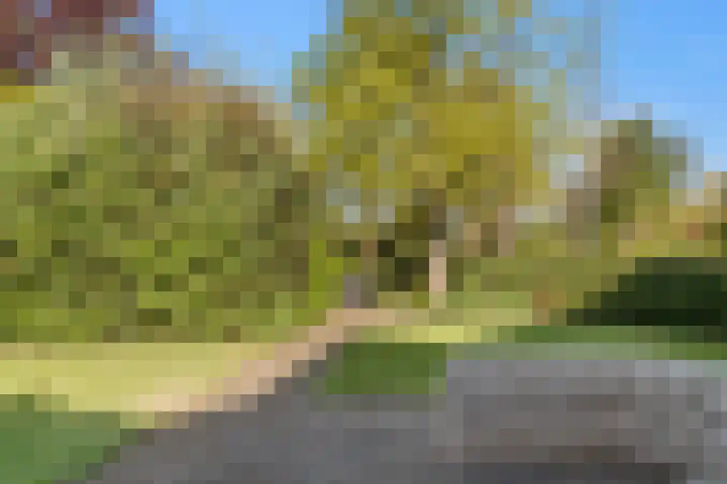 Rozenheim 51 Dedemsvaart thumbnail 23