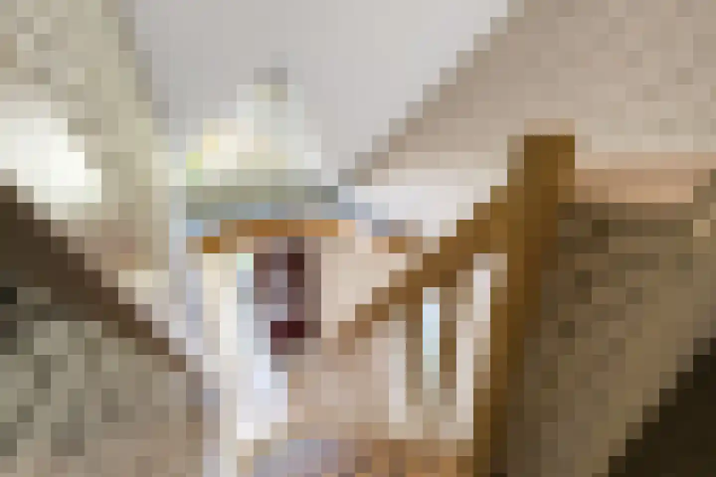 Rozenheim 51 Dedemsvaart thumbnail 44