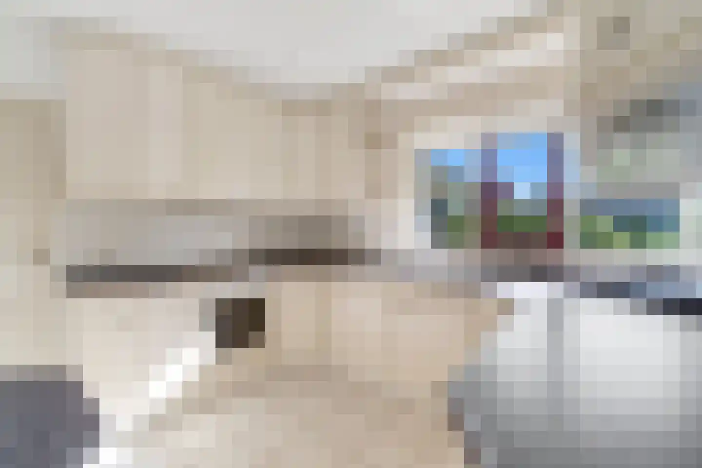 Rozenheim 51 Dedemsvaart thumbnail 9