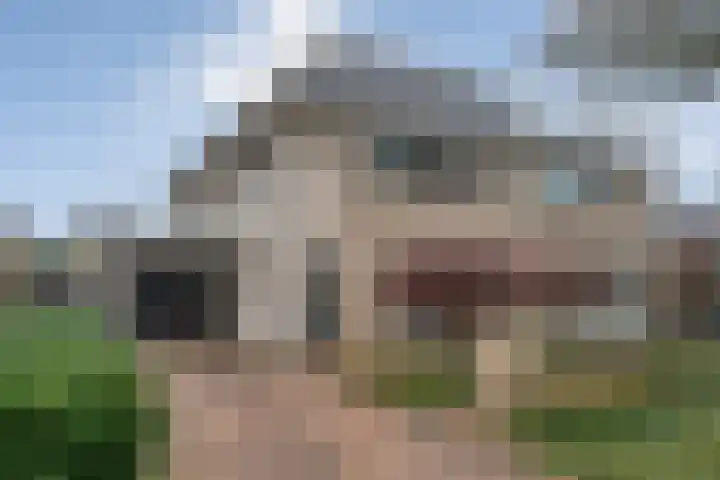 Rozenheim 72 Dedemsvaart thumbnail 10