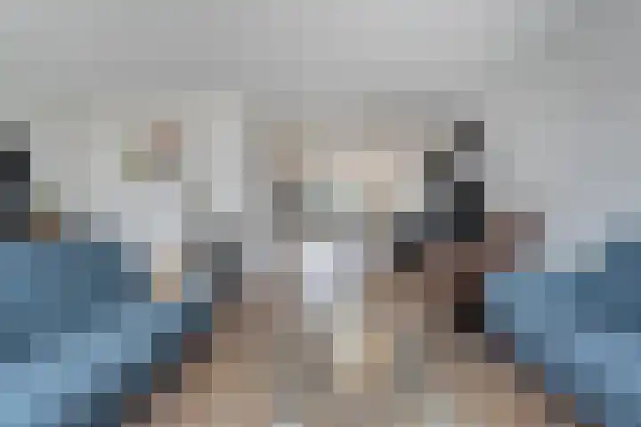 Rozenheim 72 Dedemsvaart thumbnail 18