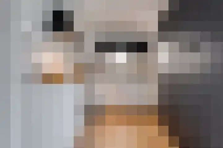 Rozenheim 72 Dedemsvaart thumbnail 24