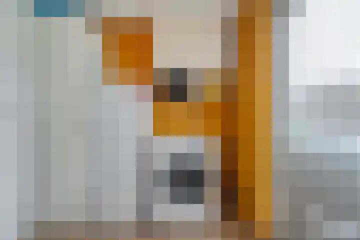 Rozenheim 72 Dedemsvaart thumbnail 26