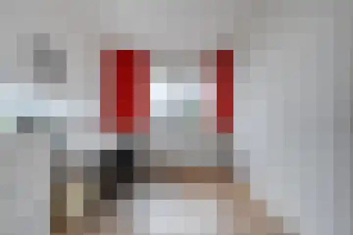 Rozenheim 72 Dedemsvaart thumbnail 31