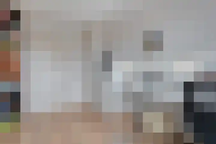 Rozenheim 72 Dedemsvaart thumbnail 32