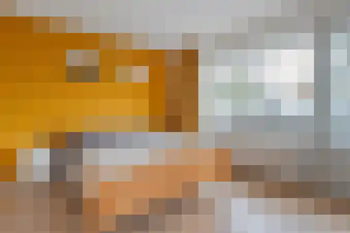 Rozenheim 72 Dedemsvaart thumbnail 37