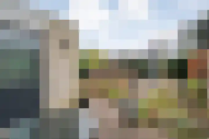 Rozenheim 72 Dedemsvaart thumbnail 50