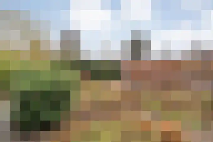 Rozenheim 72 Dedemsvaart thumbnail 51