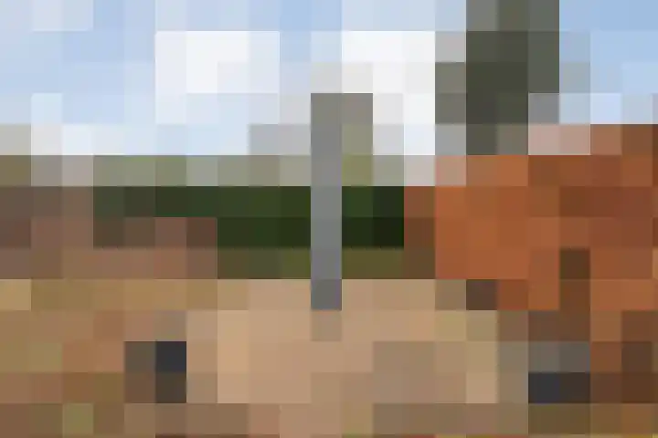 Rozenheim 72 Dedemsvaart thumbnail 52