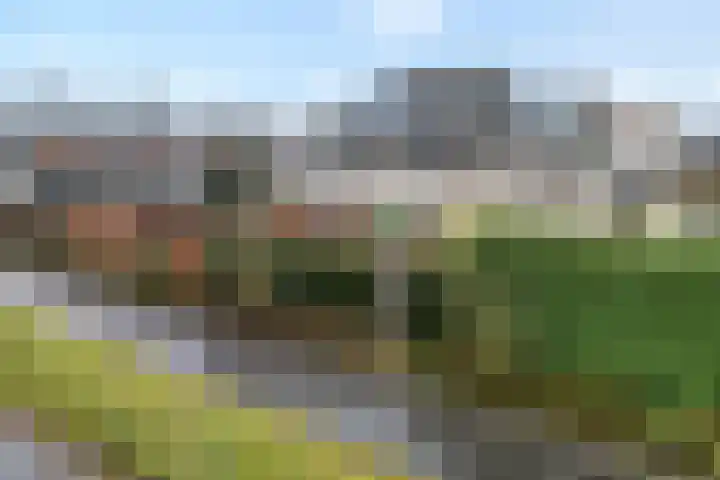 Rozenheim 72 Dedemsvaart thumbnail 54