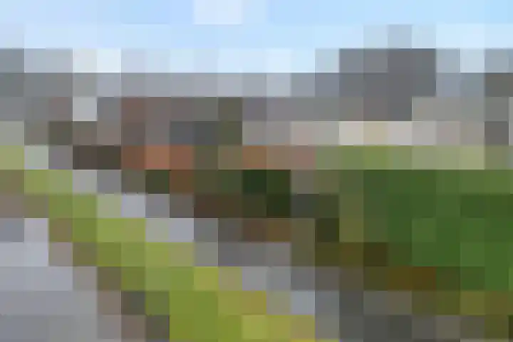 Rozenheim 72 Dedemsvaart thumbnail 55