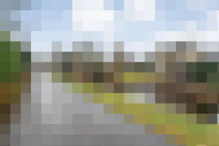 Rozenheim 72 Dedemsvaart thumbnail 57