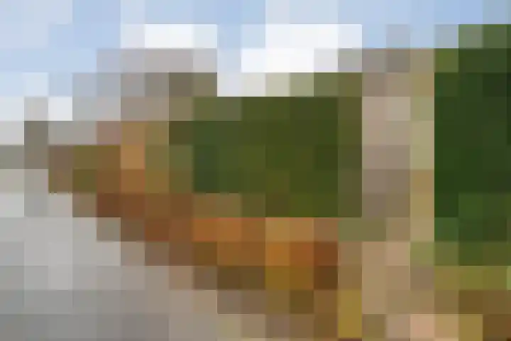 Rozenheim 72 Dedemsvaart thumbnail 58