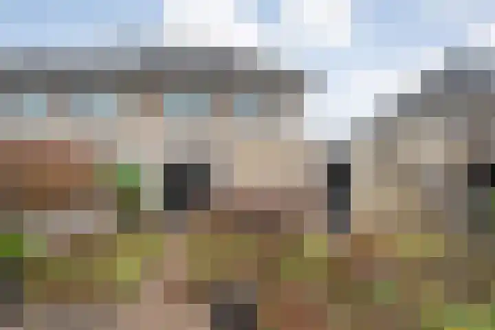Rozenheim 72 Dedemsvaart thumbnail 59