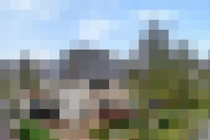 Rozenheim 72 Dedemsvaart thumbnail 6