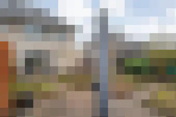 Rozenheim 72 Dedemsvaart thumbnail 60