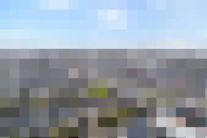 Rozenheim 72 Dedemsvaart thumbnail 61