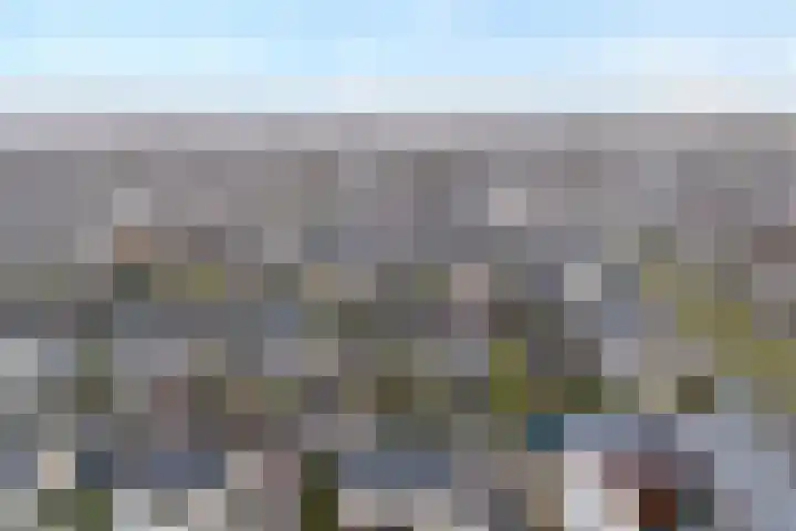Rozenheim 72 Dedemsvaart thumbnail 62