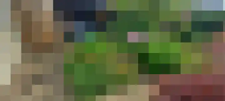 Rozenheim 72 Dedemsvaart thumbnail 66