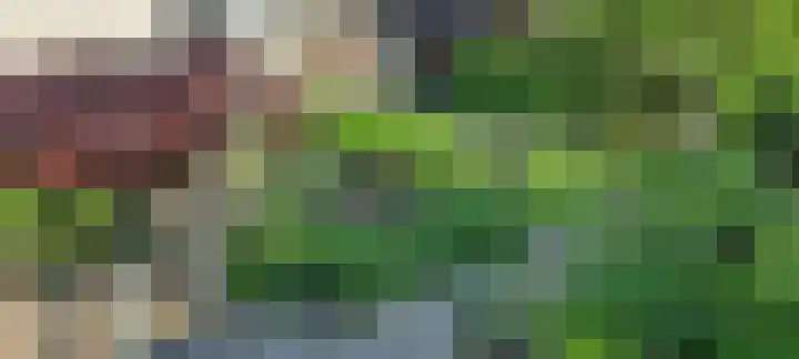 Rozenheim 72 Dedemsvaart thumbnail 67