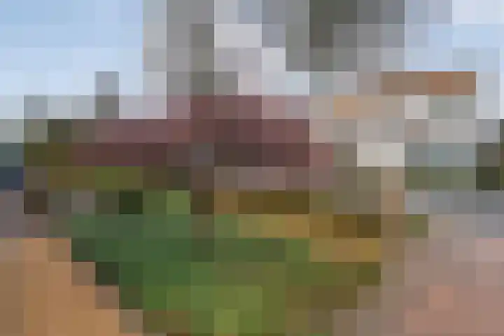 Rozenheim 72 Dedemsvaart thumbnail 7