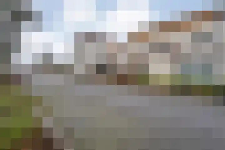 Rozenheim 72 Dedemsvaart thumbnail 8