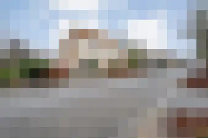 Rozenheim 72 Dedemsvaart thumbnail 9