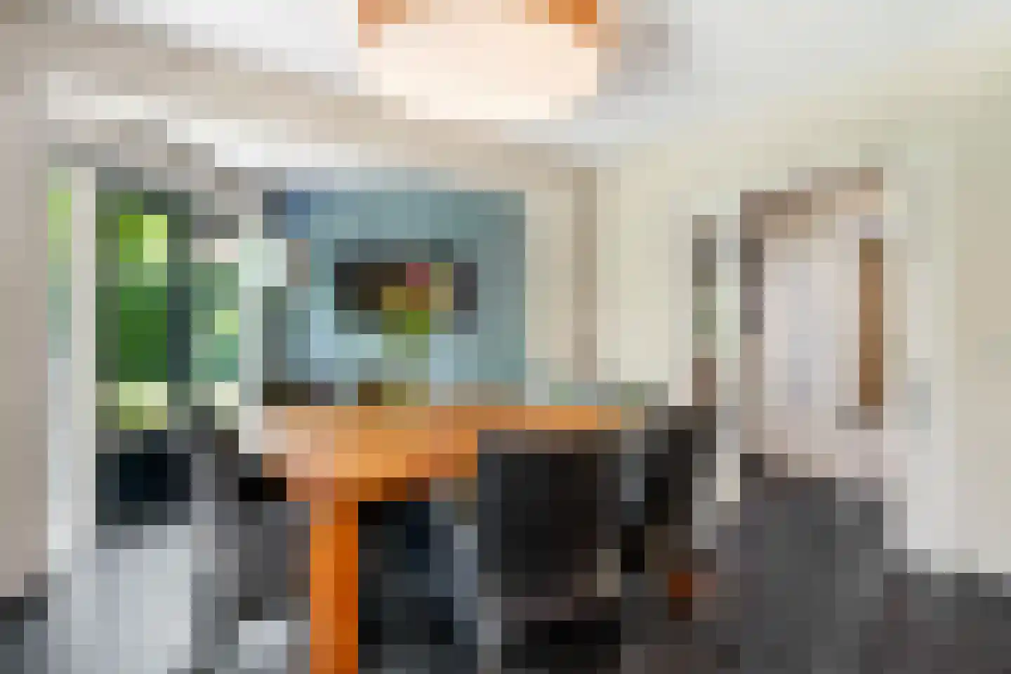 Rozenheim 8 Dedemsvaart thumbnail 10