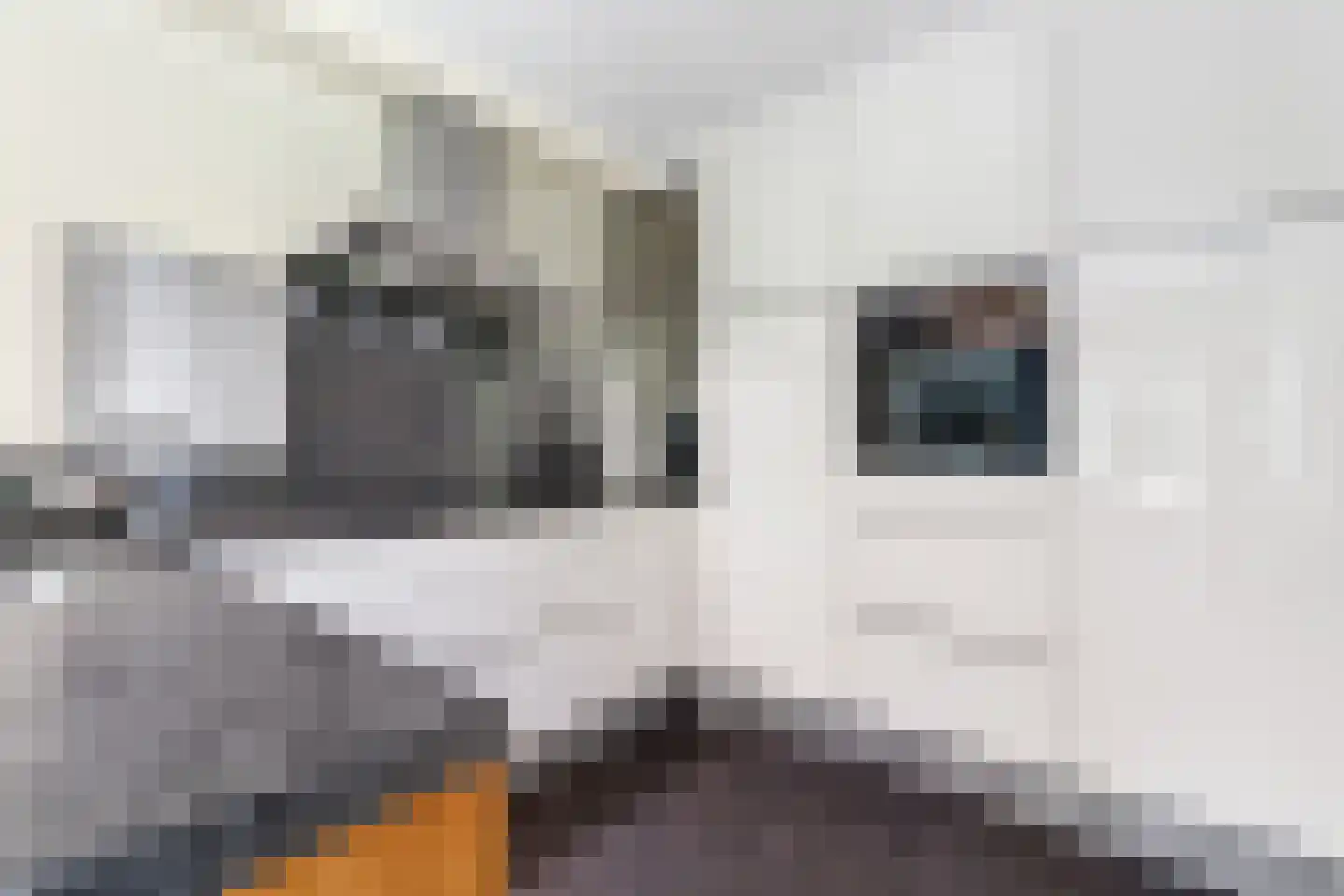 Rozenheim 8 Dedemsvaart thumbnail 11