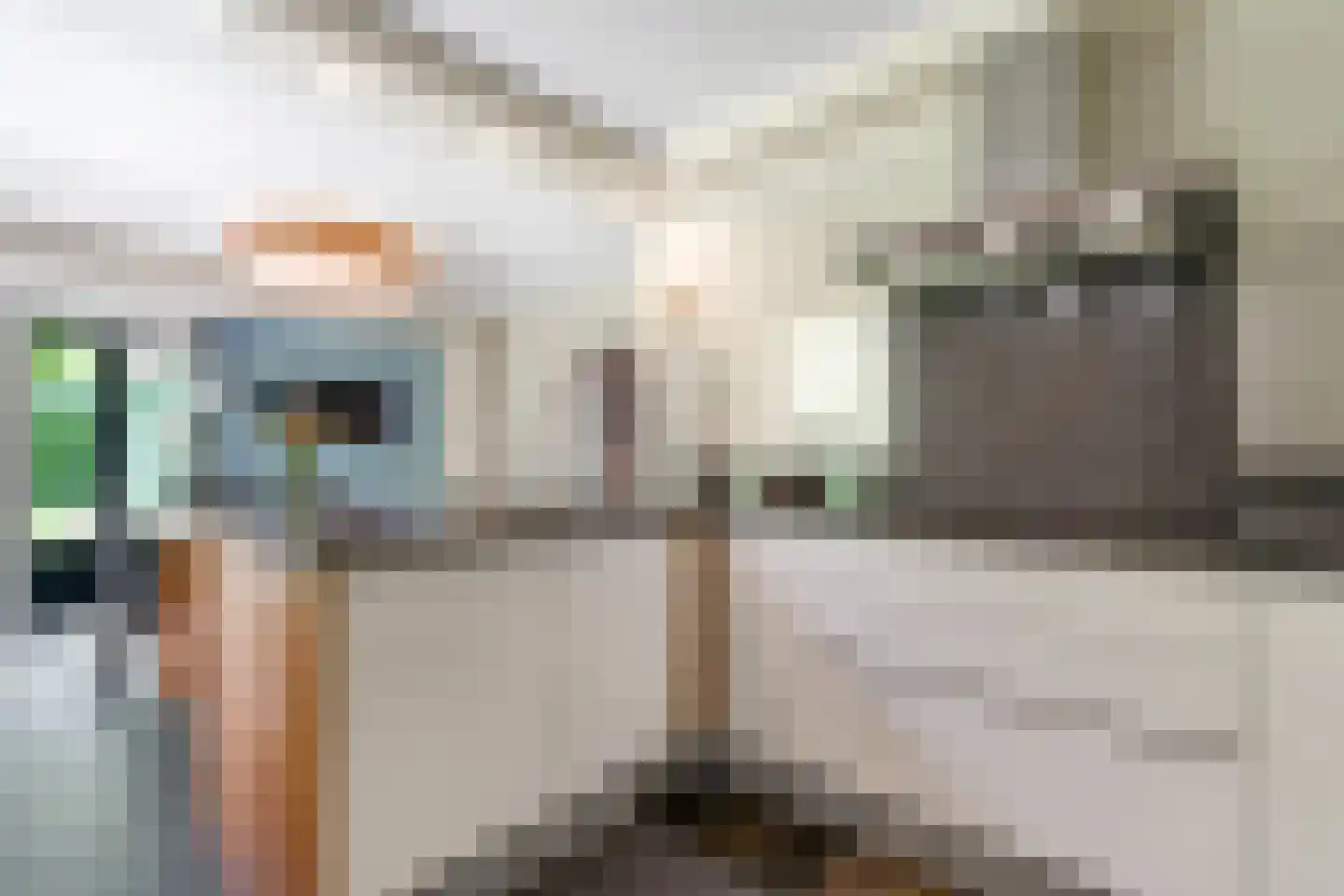 Rozenheim 8 Dedemsvaart thumbnail 12