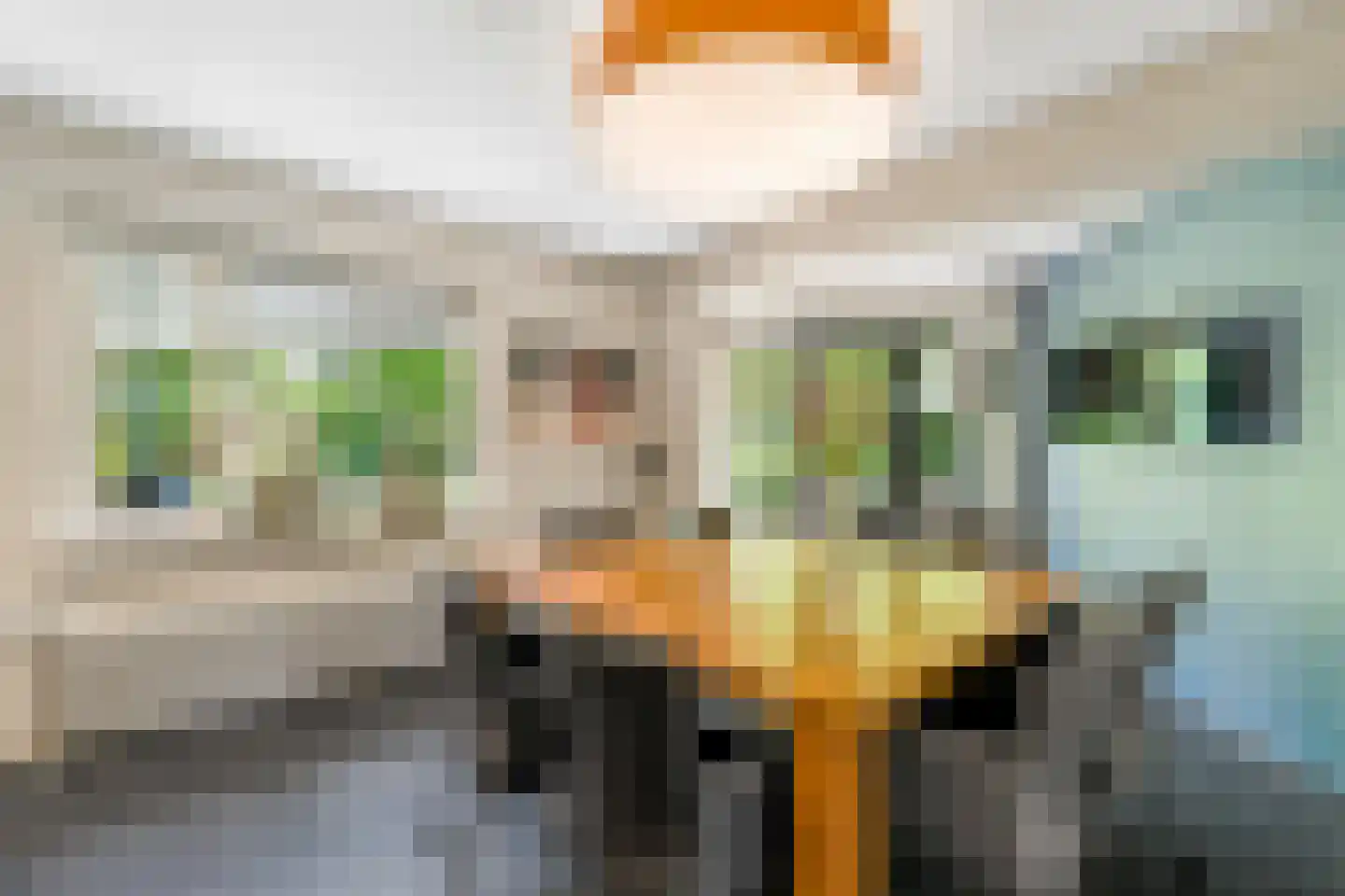 Rozenheim 8 Dedemsvaart thumbnail 13