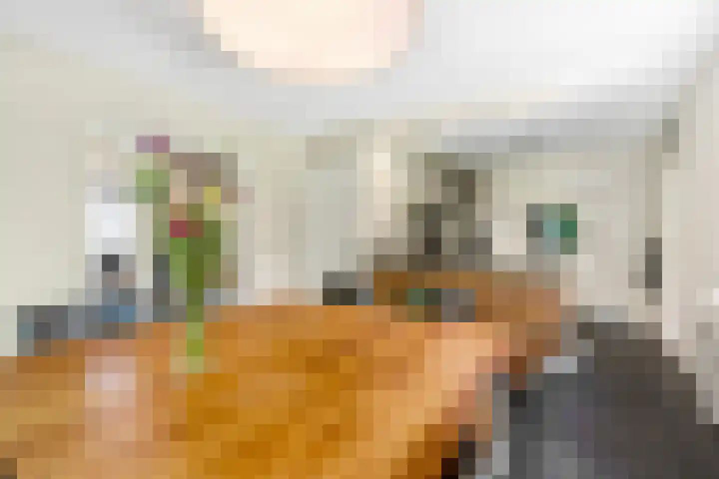 Rozenheim 8 Dedemsvaart thumbnail 14