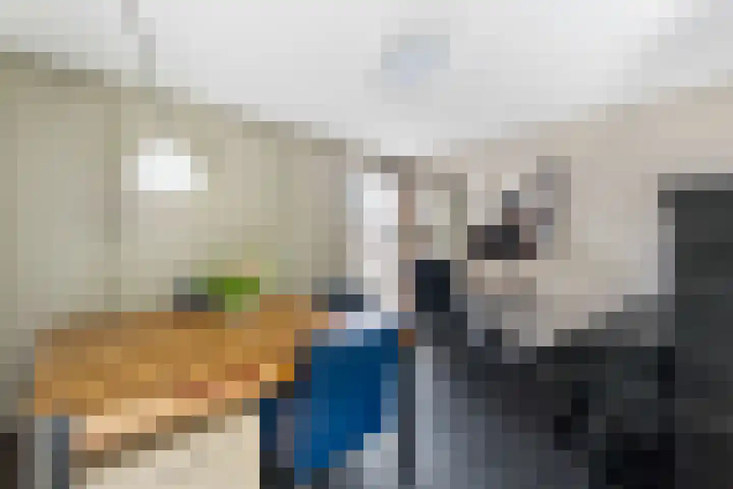 Rozenheim 8 Dedemsvaart thumbnail 18