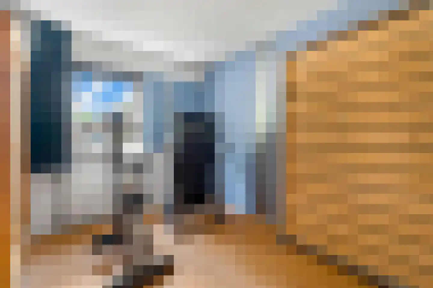Rozenheim 8 Dedemsvaart thumbnail 30