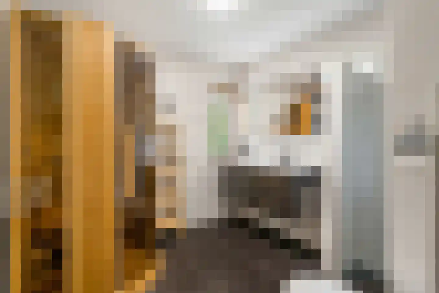 Rozenheim 8 Dedemsvaart thumbnail 31