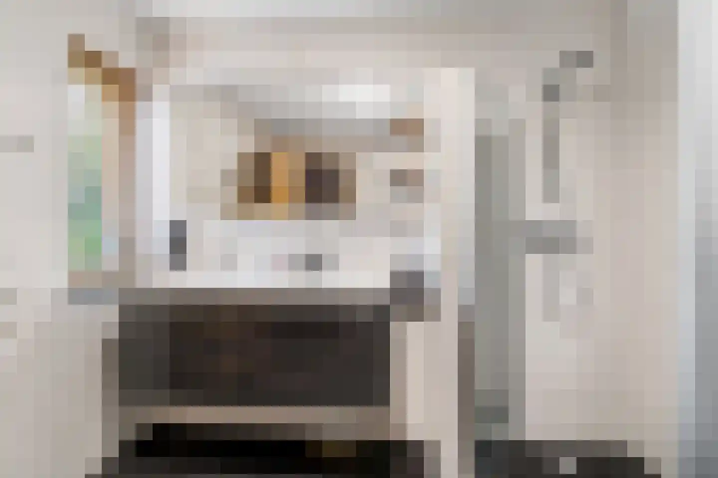 Rozenheim 8 Dedemsvaart thumbnail 32