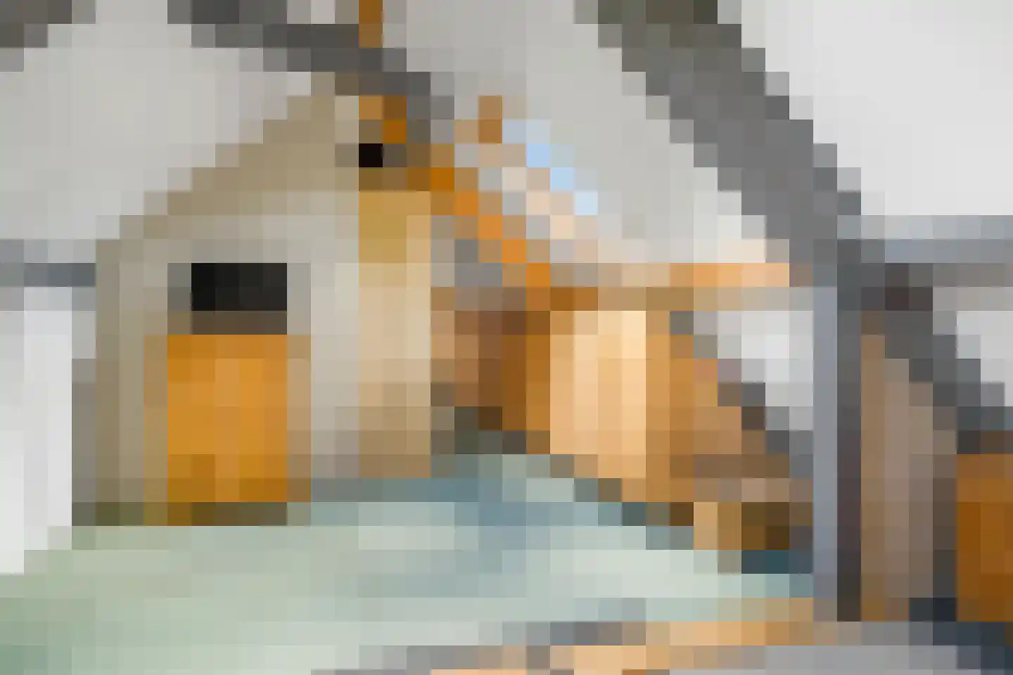 Rozenheim 8 Dedemsvaart thumbnail 35