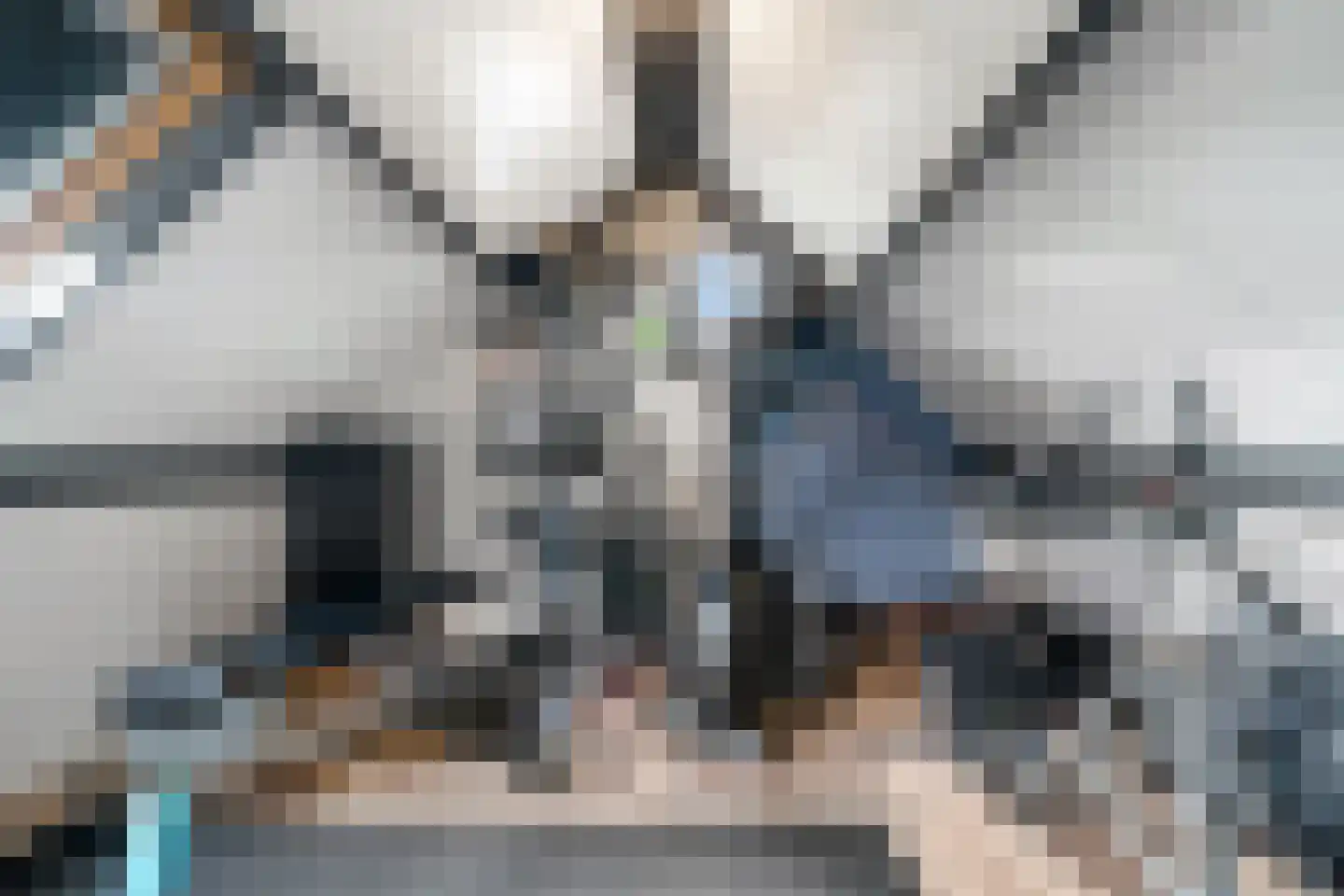 Rozenheim 8 Dedemsvaart thumbnail 38