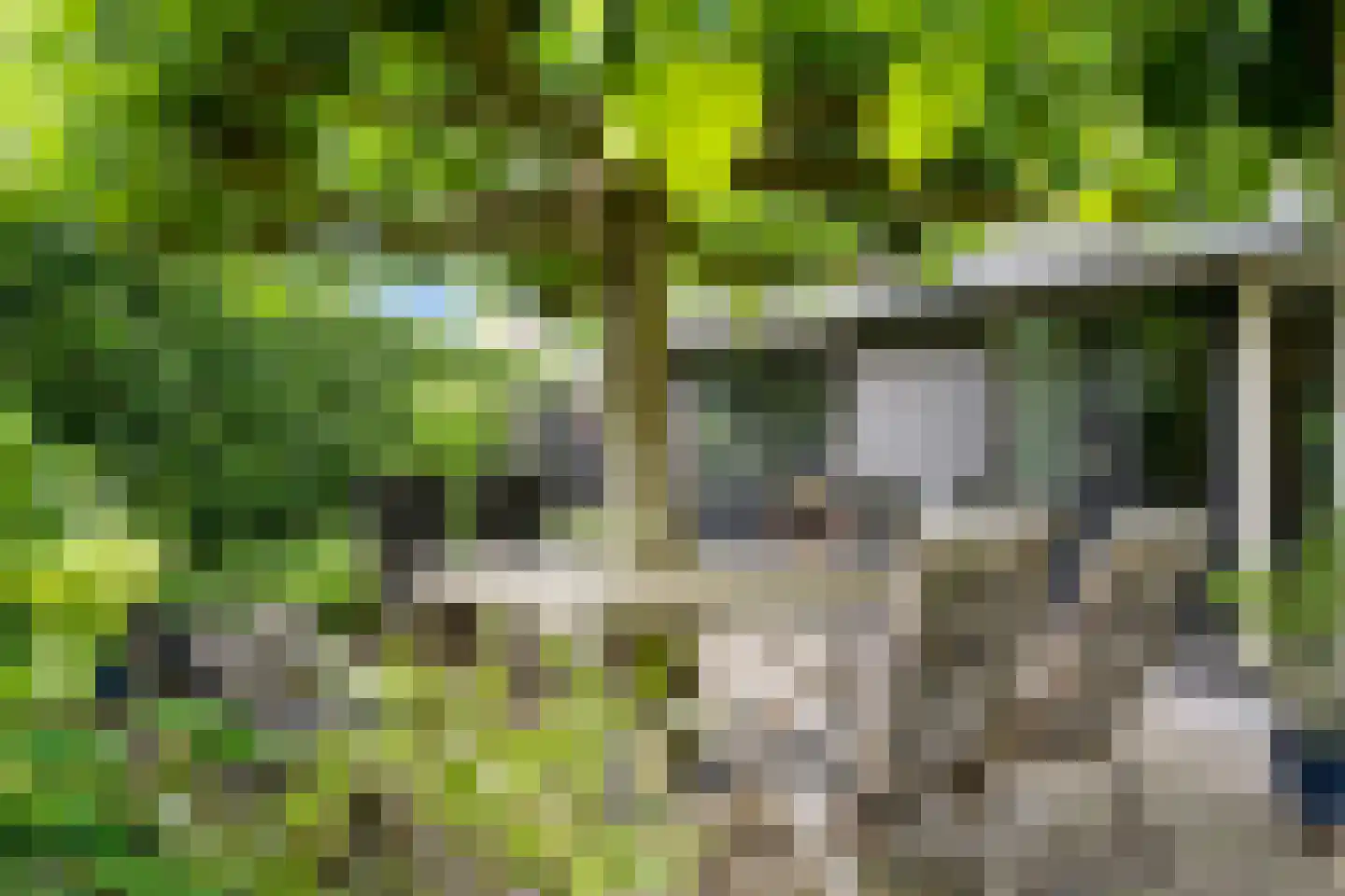 Rozenheim 8 Dedemsvaart thumbnail 44