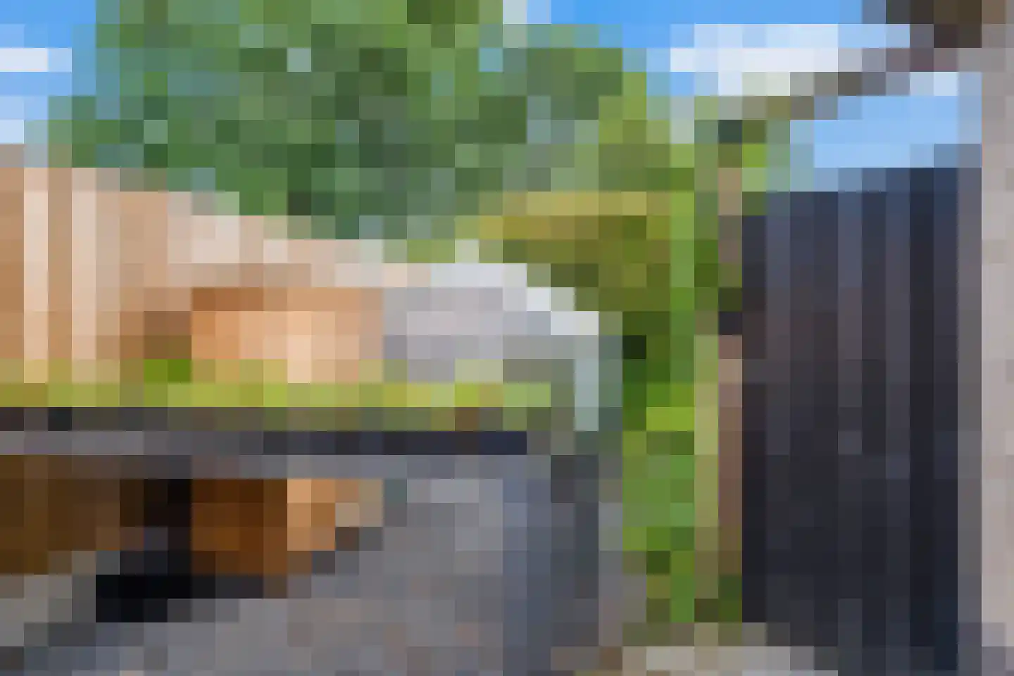 Rozenheim 8 Dedemsvaart thumbnail 47