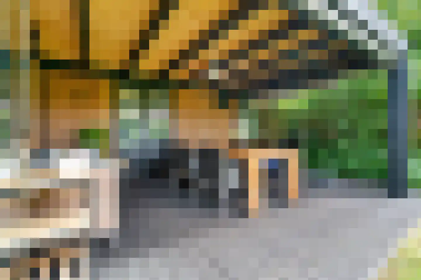 Rozenheim 8 Dedemsvaart thumbnail 49