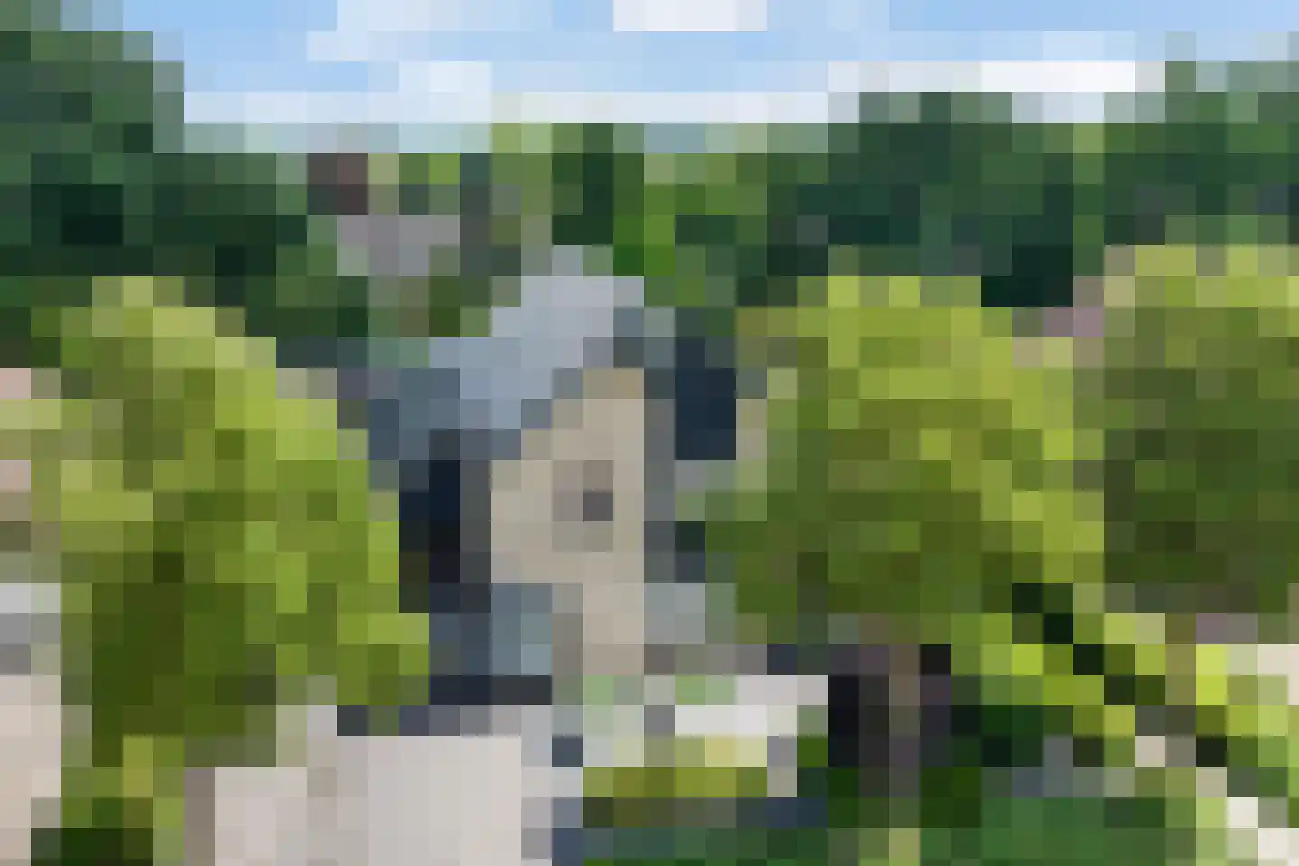 Rozenheim 8 Dedemsvaart thumbnail 51