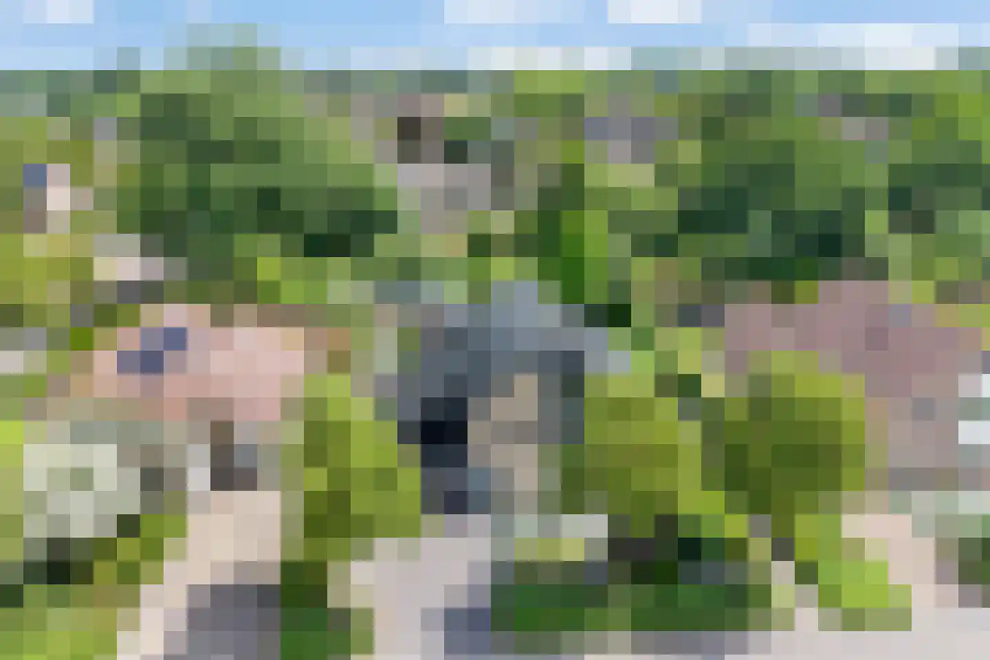Rozenheim 8 Dedemsvaart thumbnail 52