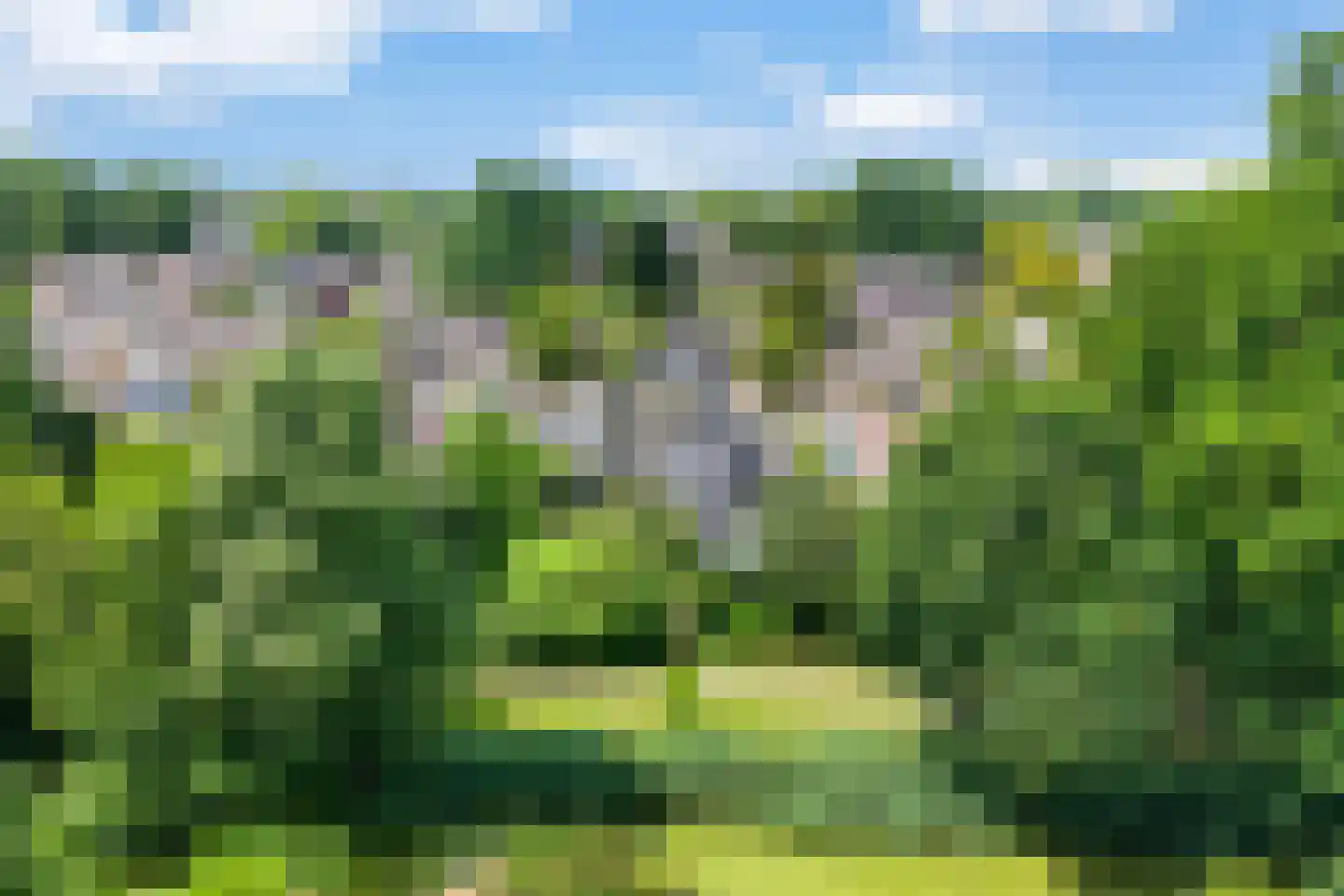 Rozenheim 8 Dedemsvaart thumbnail 53