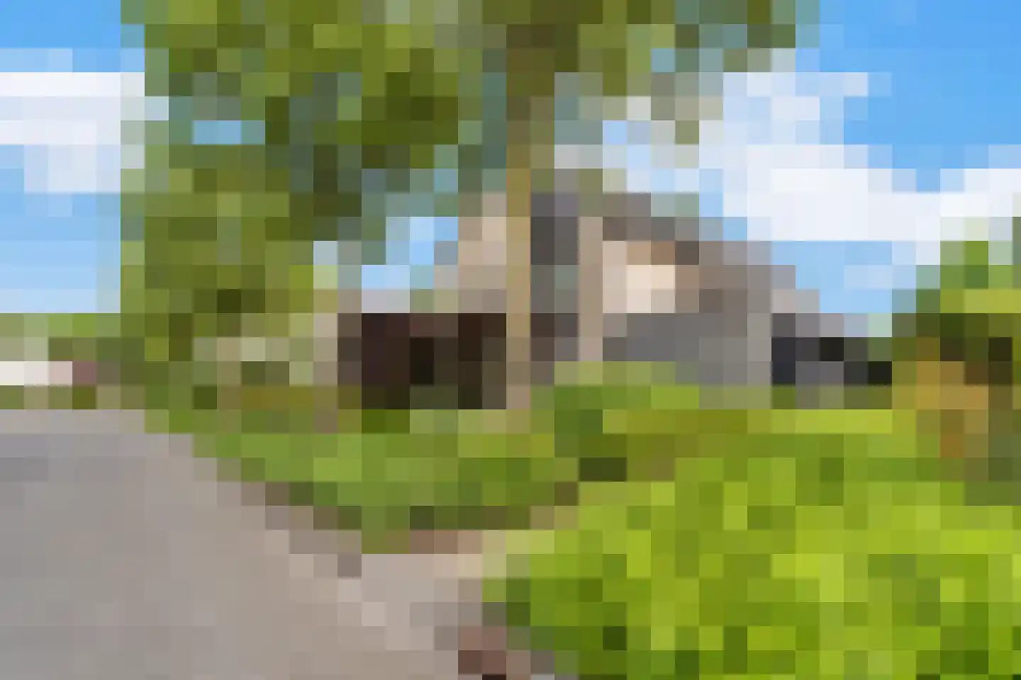 Rozenheim 8 Dedemsvaart thumbnail 54