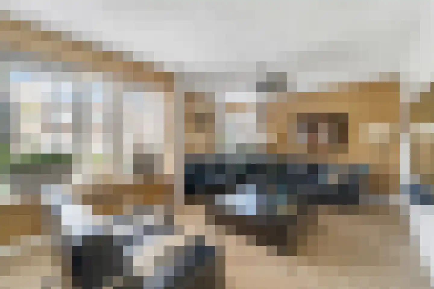 Rozenheim 8 Dedemsvaart thumbnail 7