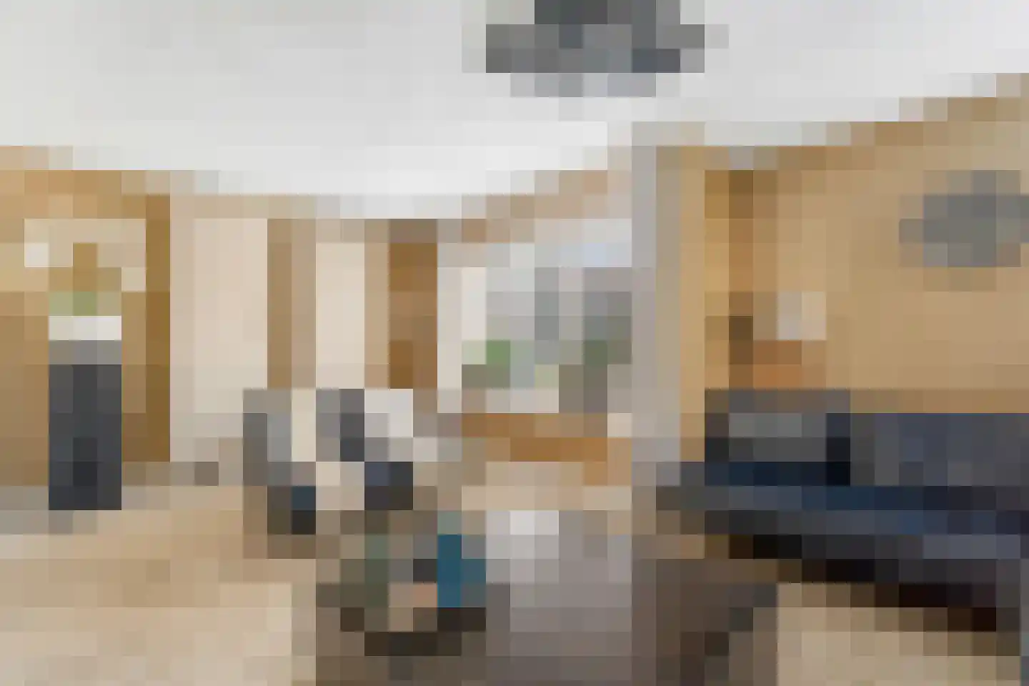 Rozenheim 8 Dedemsvaart thumbnail 8