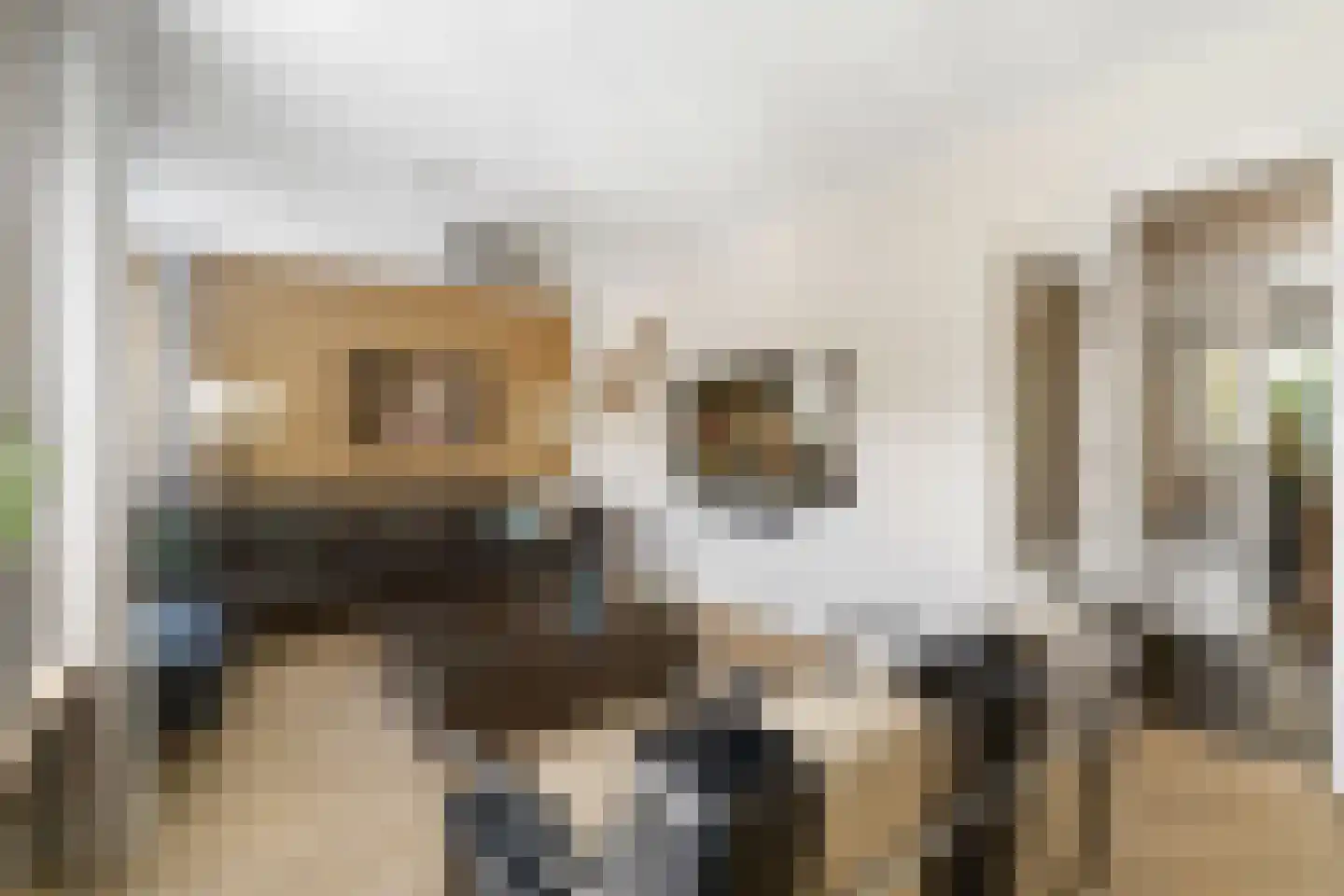 Rozenheim 8 Dedemsvaart thumbnail 9
