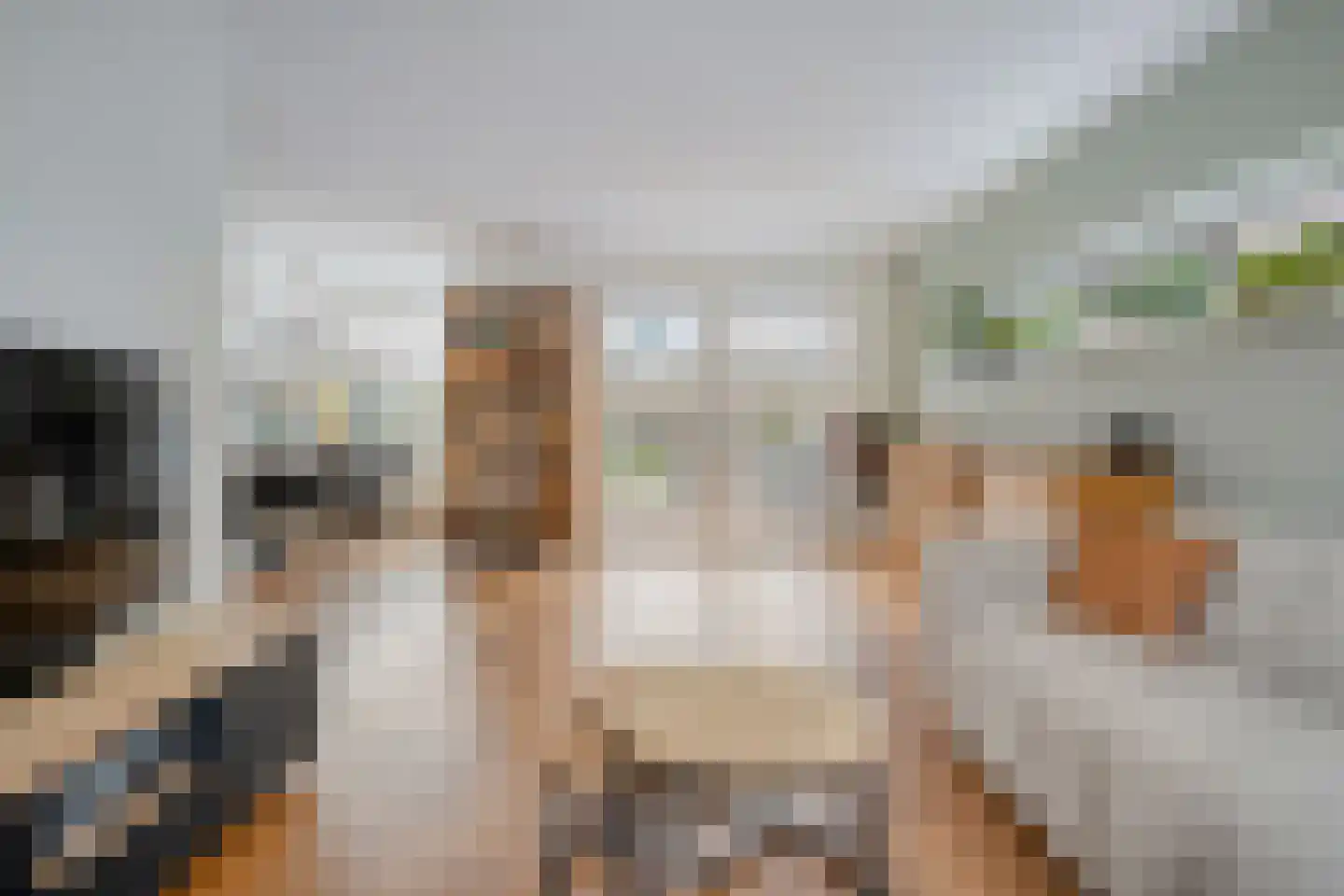 Rozenheim 95 Dedemsvaart thumbnail 10
